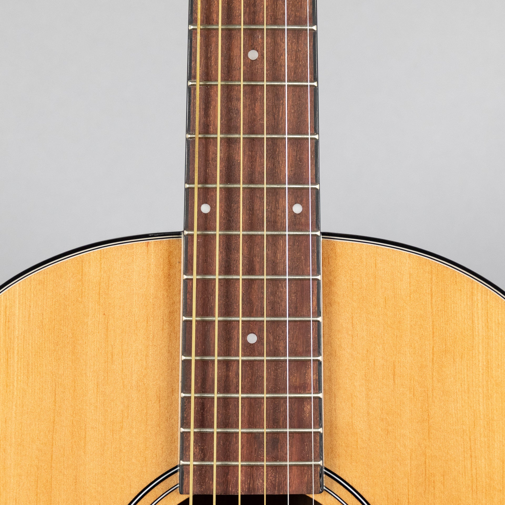 Ibanez PN50TKE Acoustic Guitar, Natural High Gloss