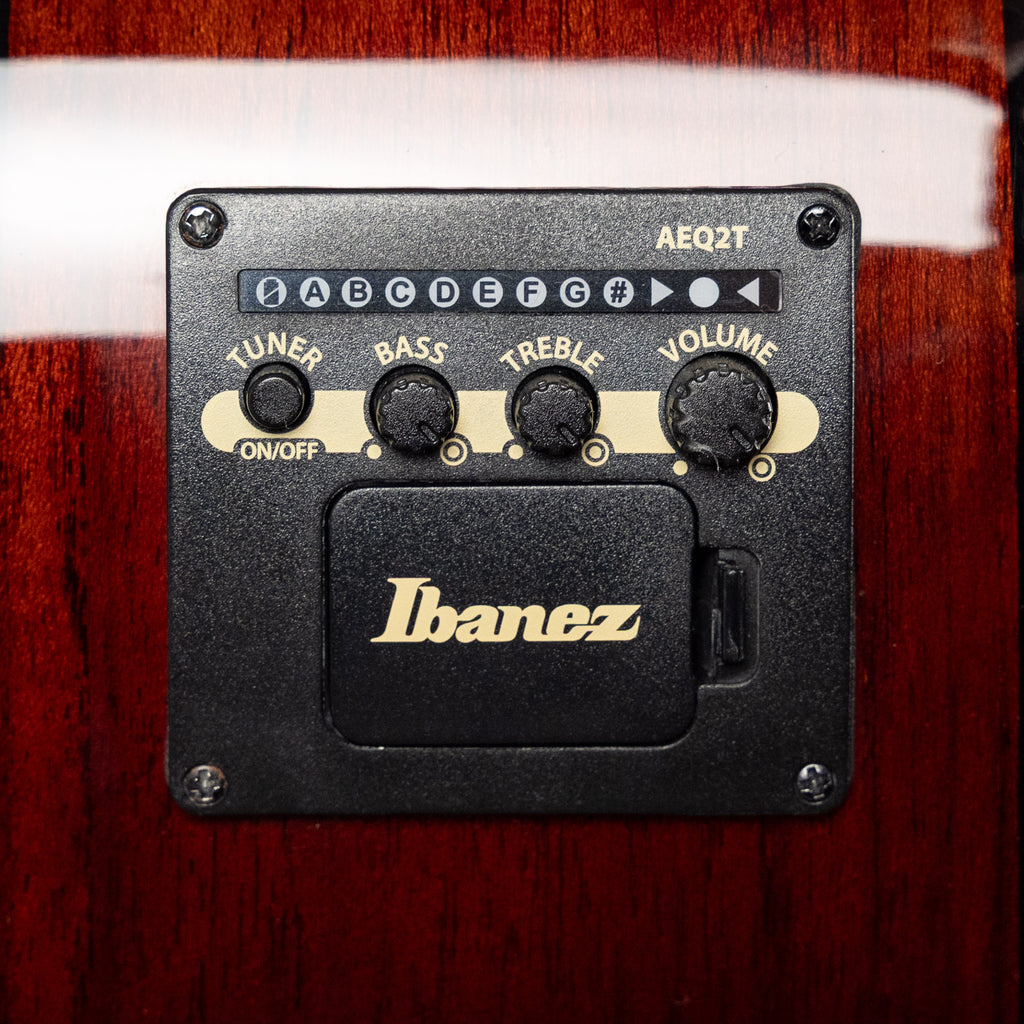Ibanez PN50TKE Acoustic Guitar, Natural High Gloss