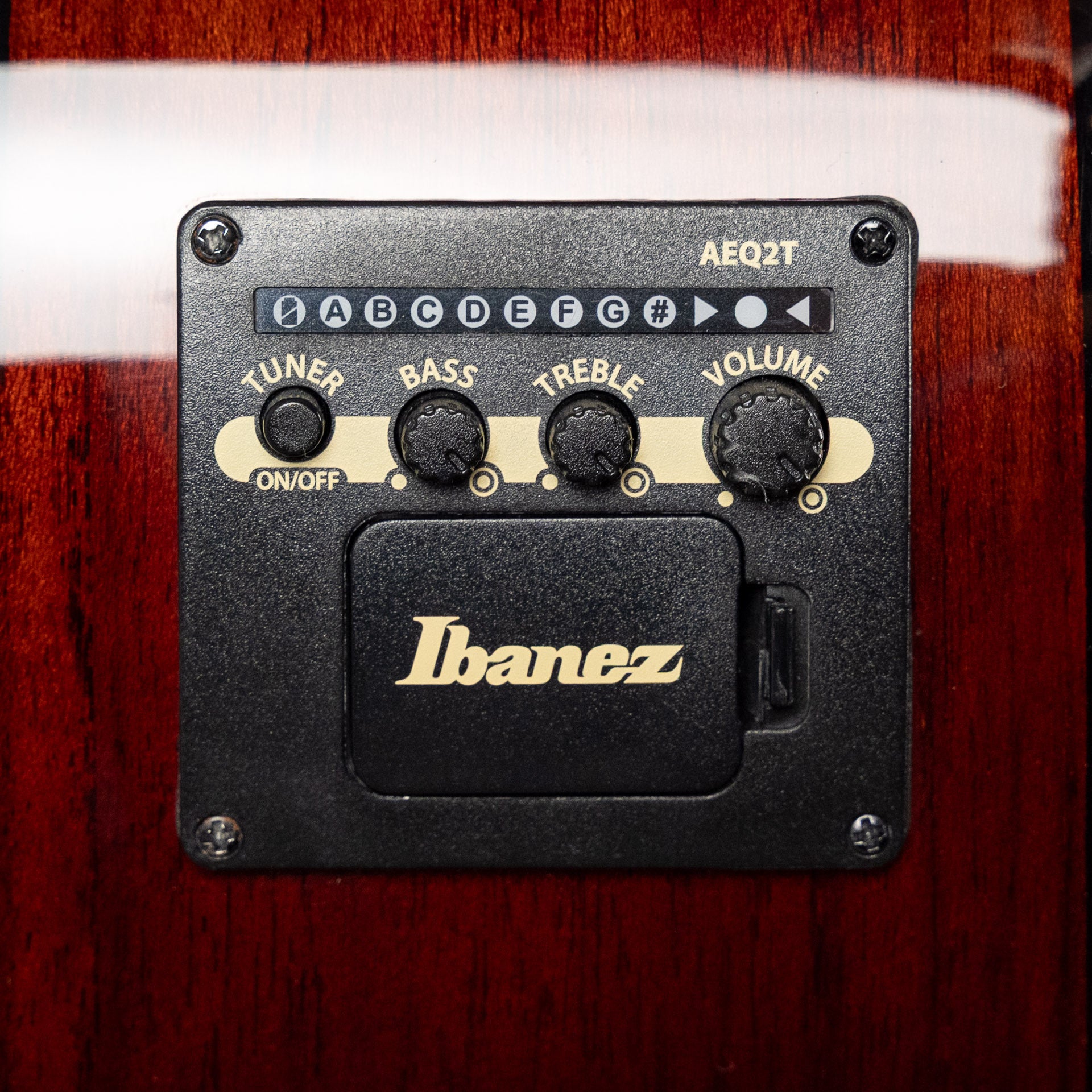 Ibanez PN50TKE Acoustic Guitar, Natural High Gloss