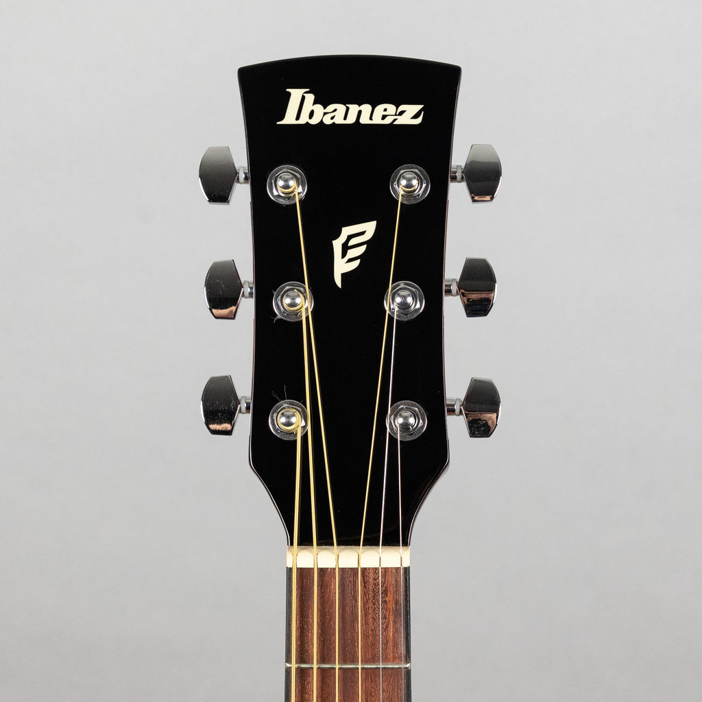 Ibanez PN50TKE Acoustic Guitar, Natural High Gloss
