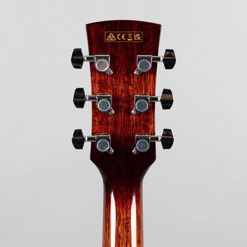 Ibanez PN50TKE Acoustic Guitar, Natural High Gloss