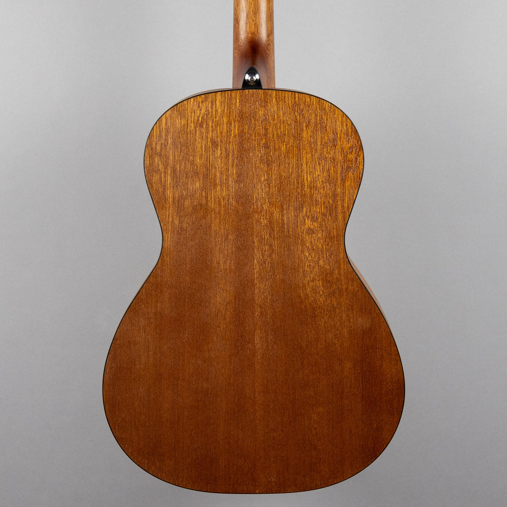 Ibanez PN50 Parlor Acoustic, Open Pore Brown Sunburst Top