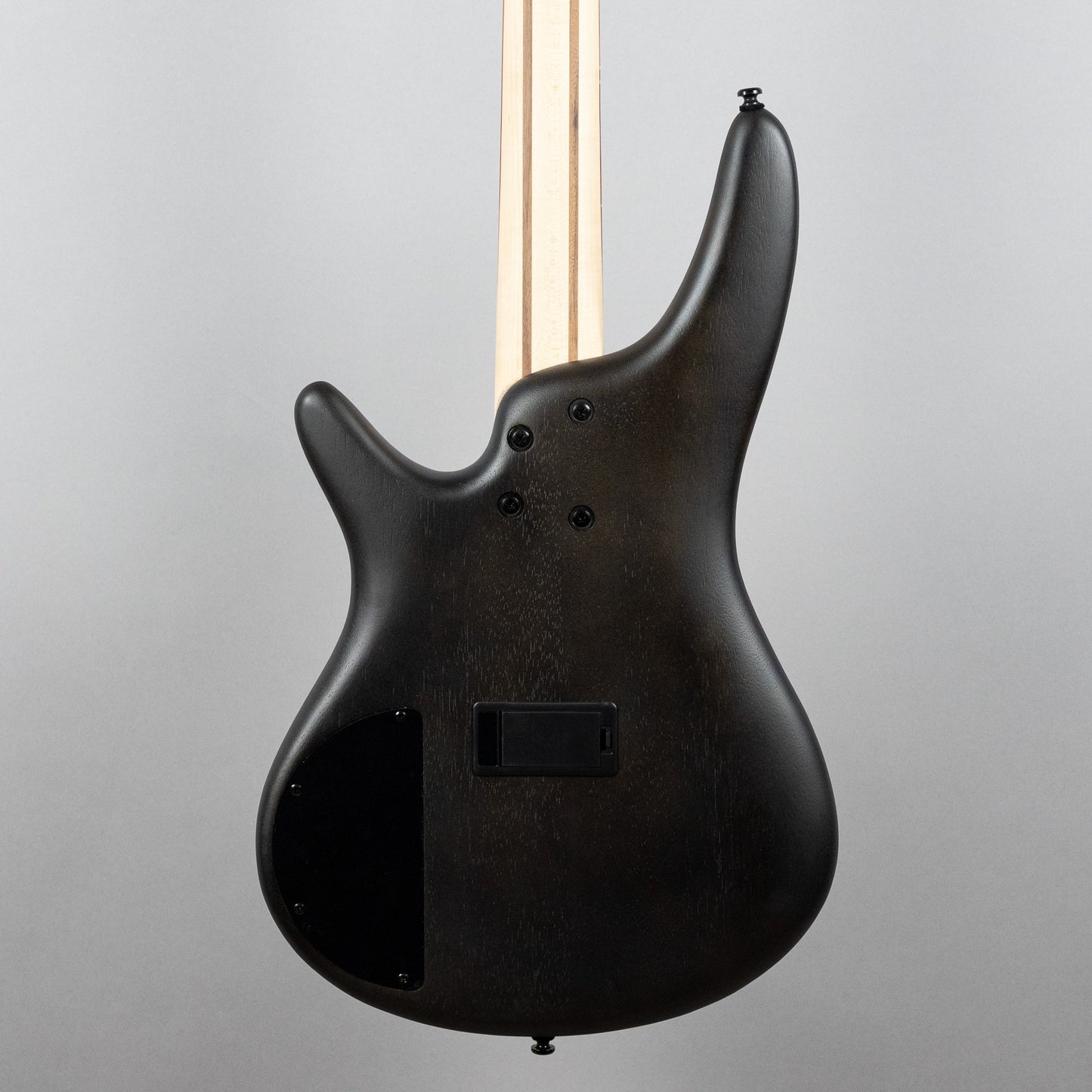 Ibanez SR300EB SR Standard 4-String Bass, Walnut Flat