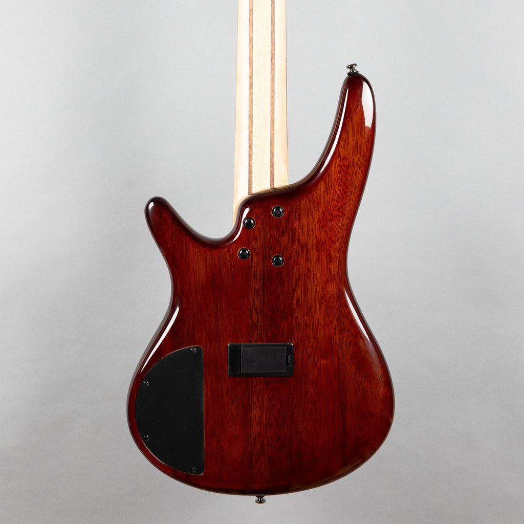 Ibanez SR405EQM SR Standard 5-String Bass, Dragon Eye Burst