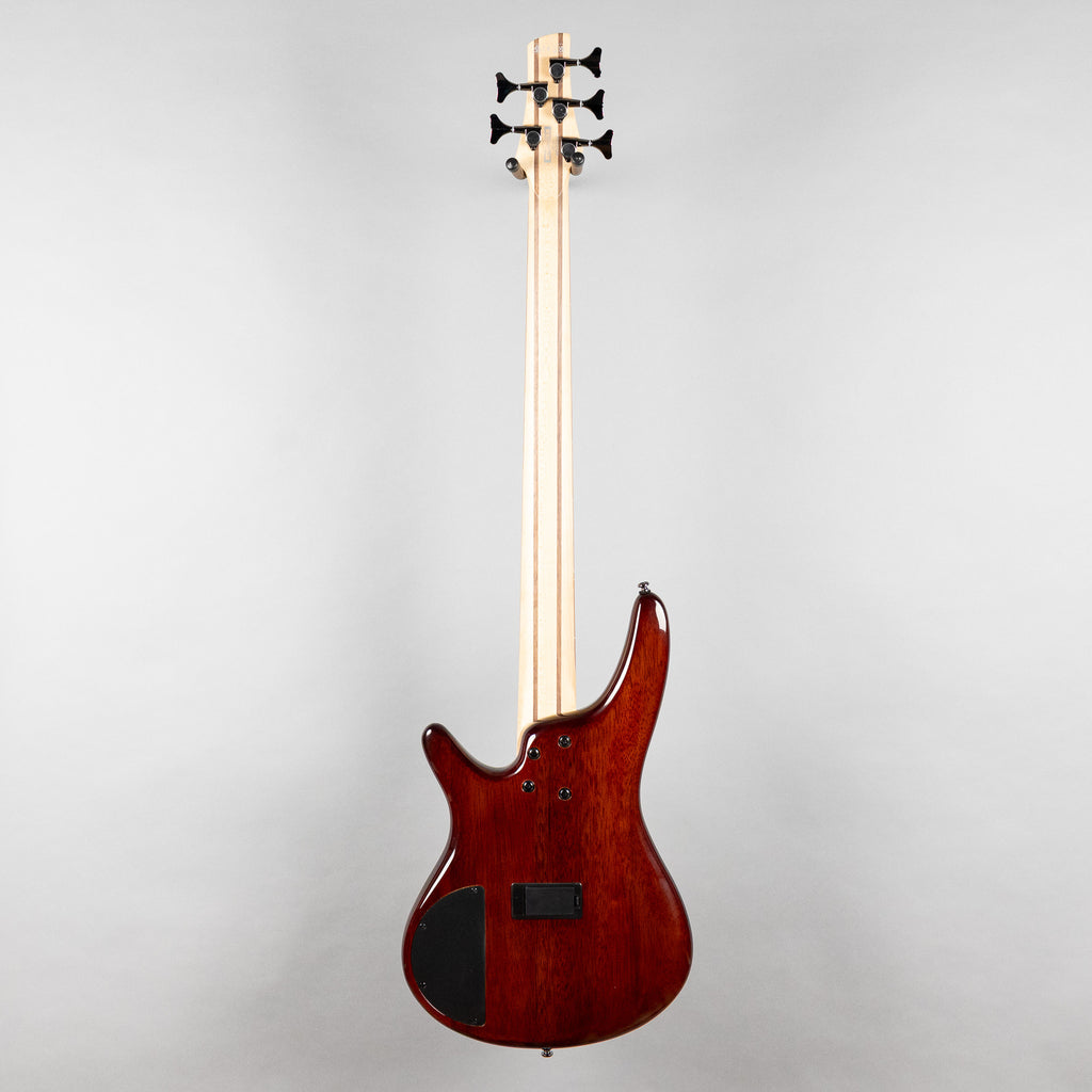 Ibanez SR405EQM SR Standard 5-String Bass, Dragon Eye Burst