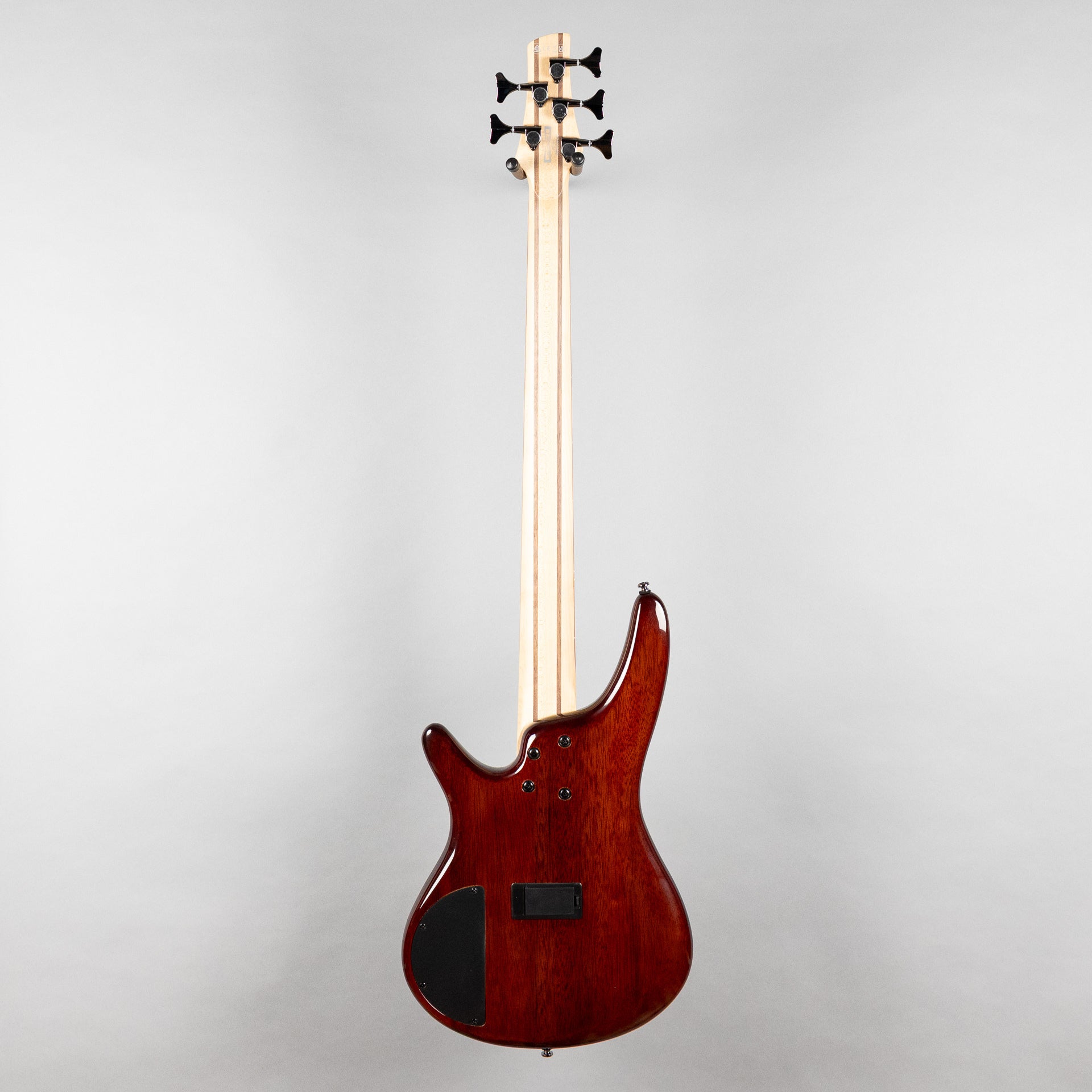 Ibanez SR405EQM SR Standard 5-String Bass, Dragon Eye Burst