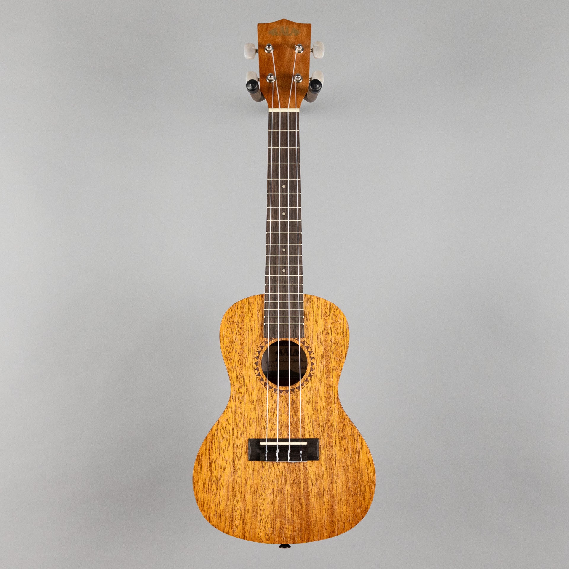 Kala KA-15 Satin Mahogany Concert Ukulele Bundle