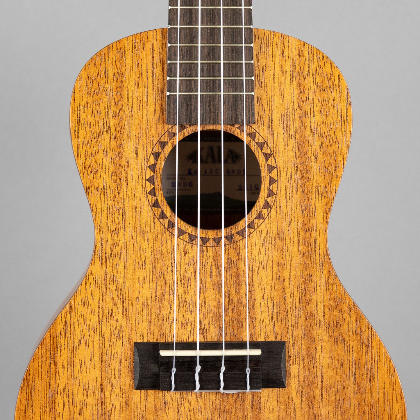 Kala KA-15 Satin Mahogany Concert Ukulele Bundle