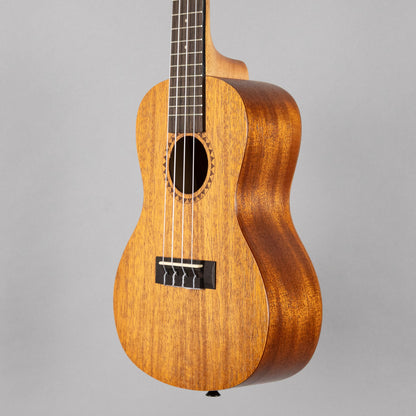 Kala KA-15 Satin Mahogany Concert Ukulele Bundle