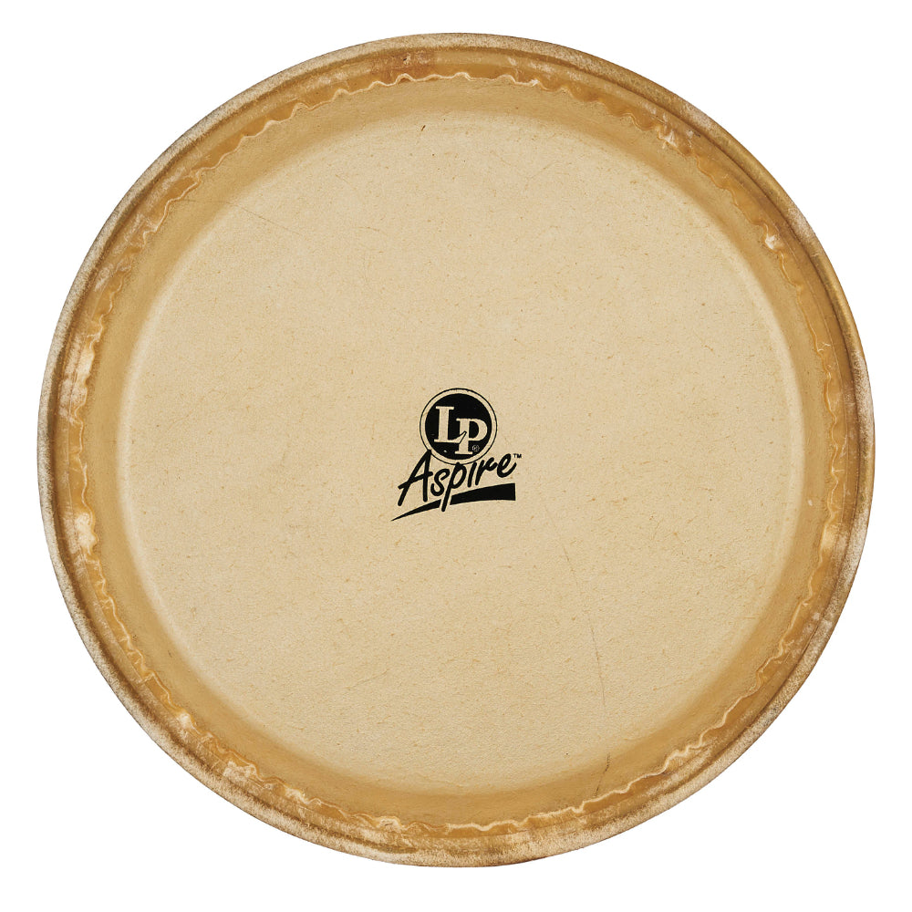 LP 10" Quinto Replacement Head