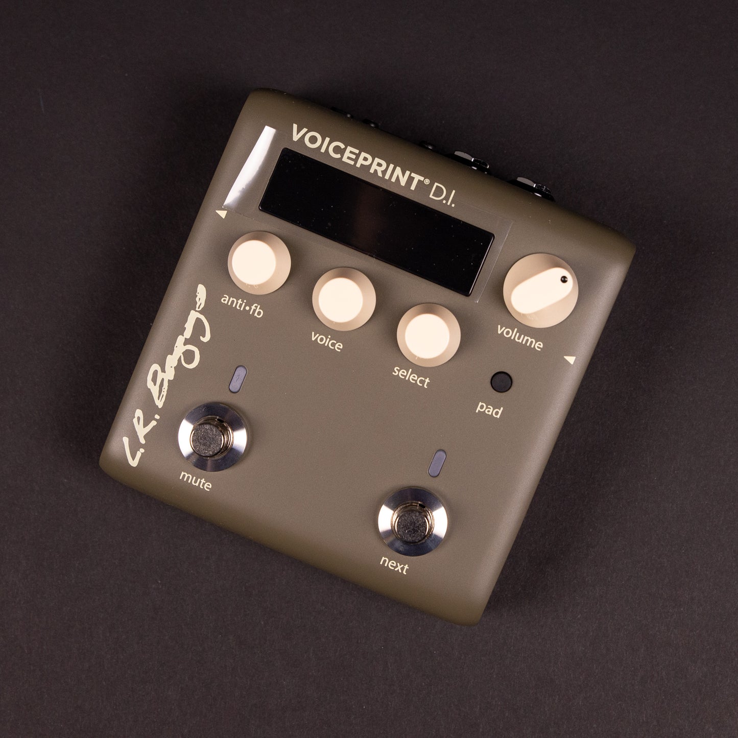 LR Baggs Voiceprint DI Acoustic Guitar Impulse Response Pedal