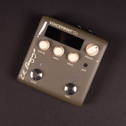 LR Baggs Voiceprint DI Acoustic Guitar Impulse Response Pedal