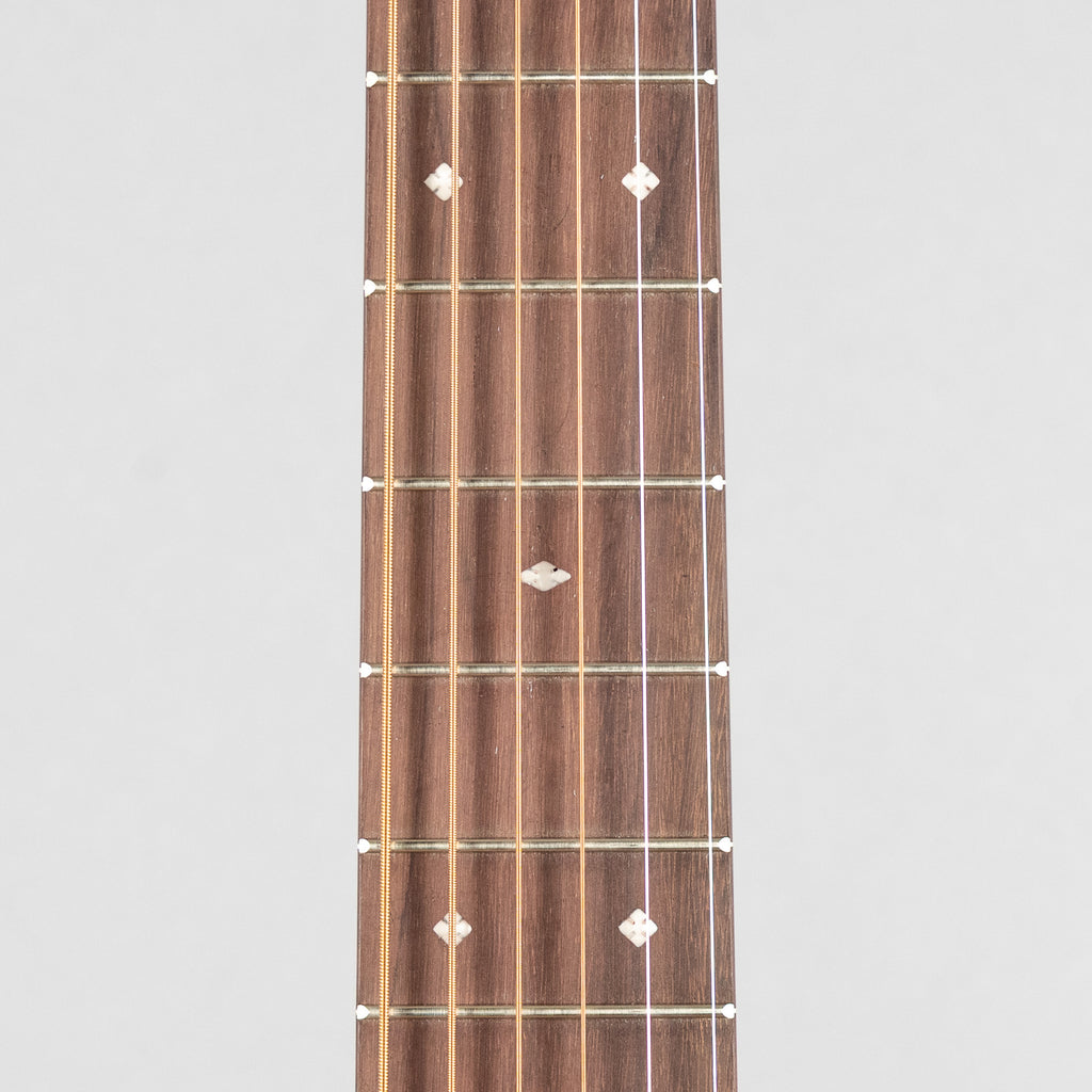 Martin D10E Retro Sapele
