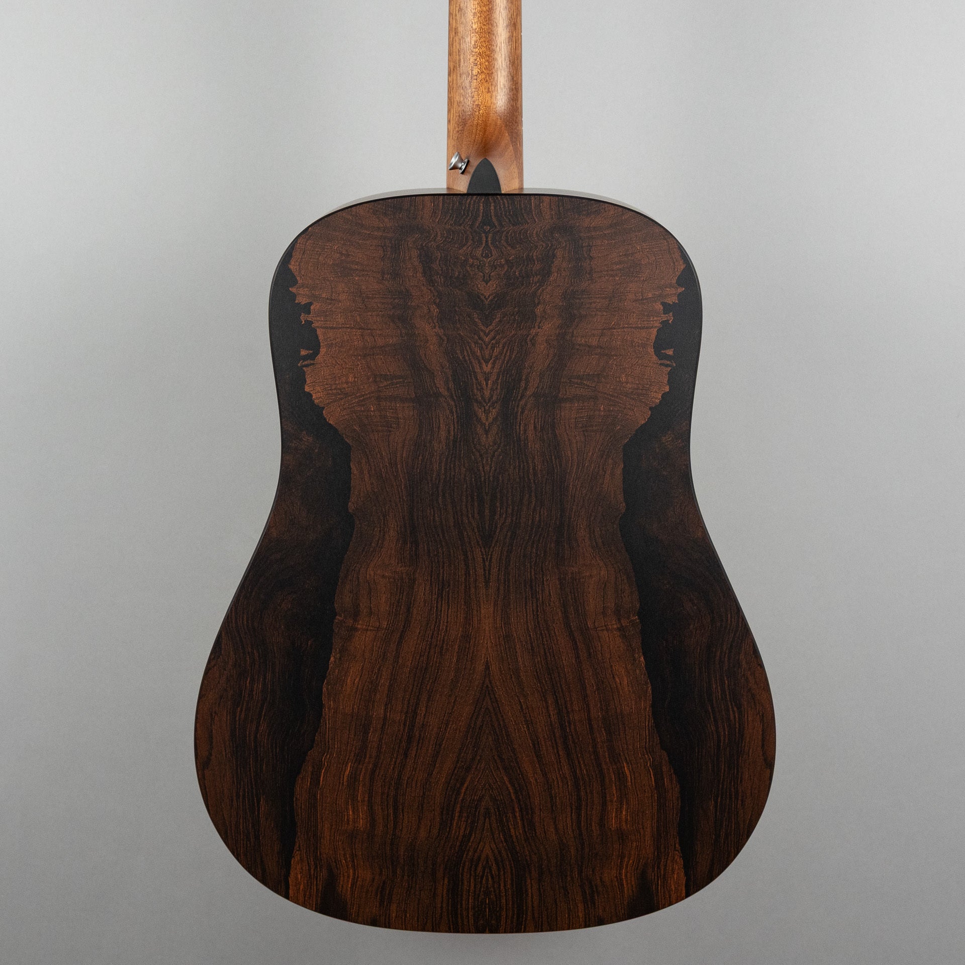 Martin D-X2E Brazilian Rosewood HPL Acoustic Guitar