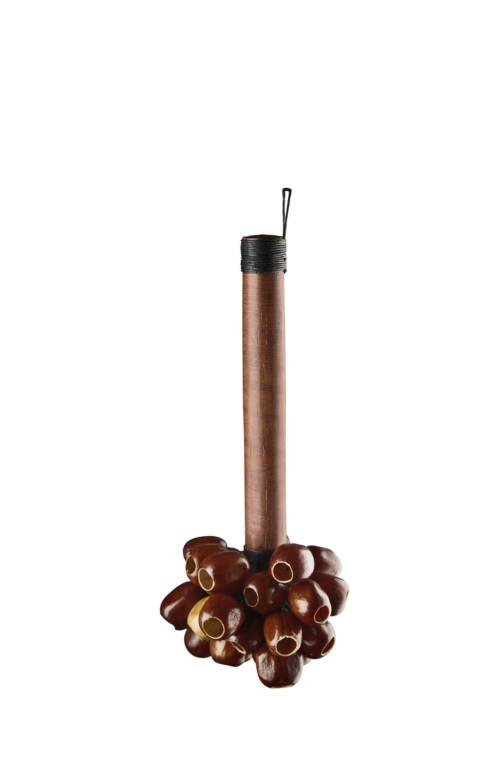Meinl SPH Sonic Energy Pala Rod Shaker