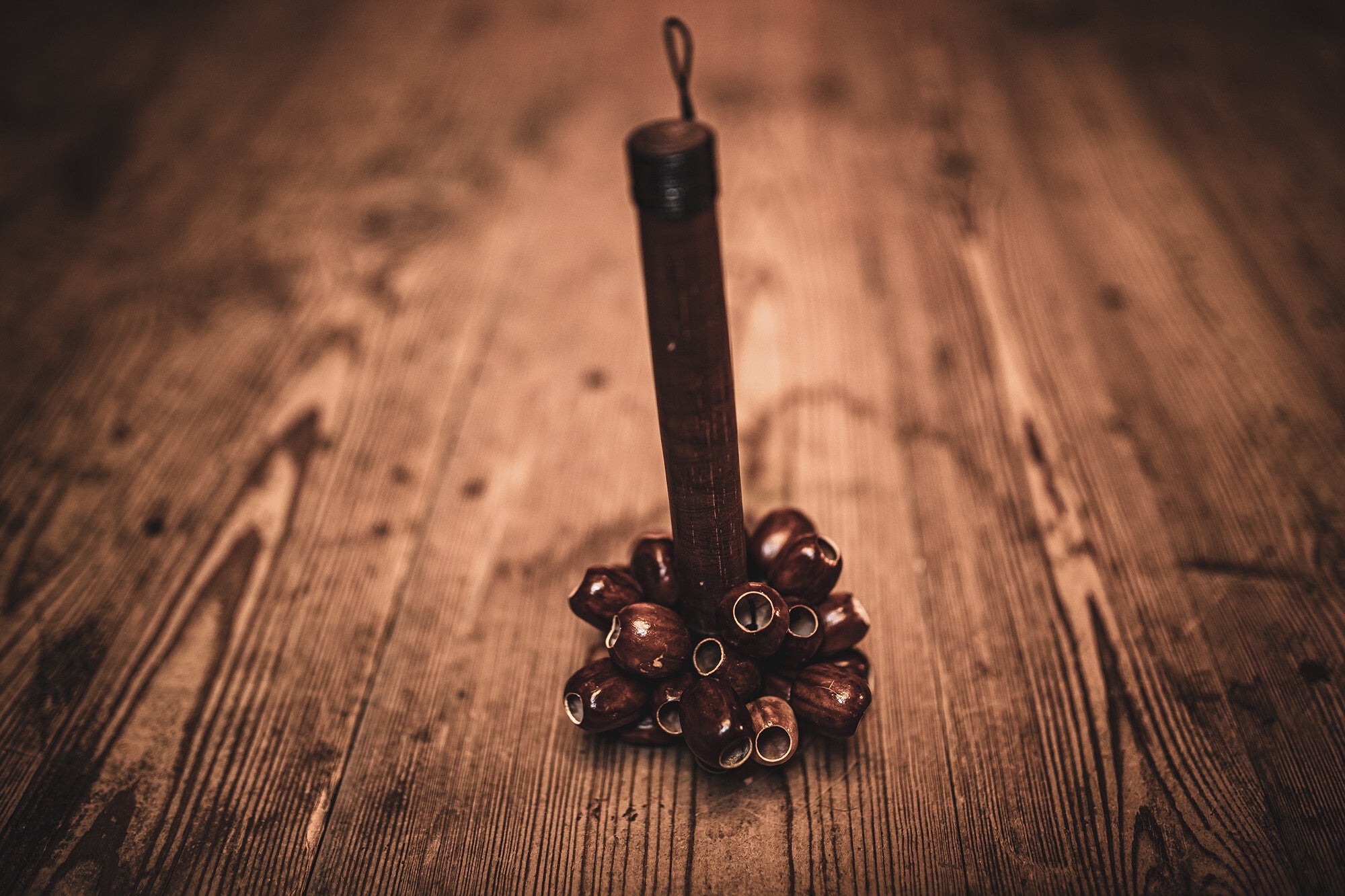 Meinl SPH Sonic Energy Pala Rod Shaker
