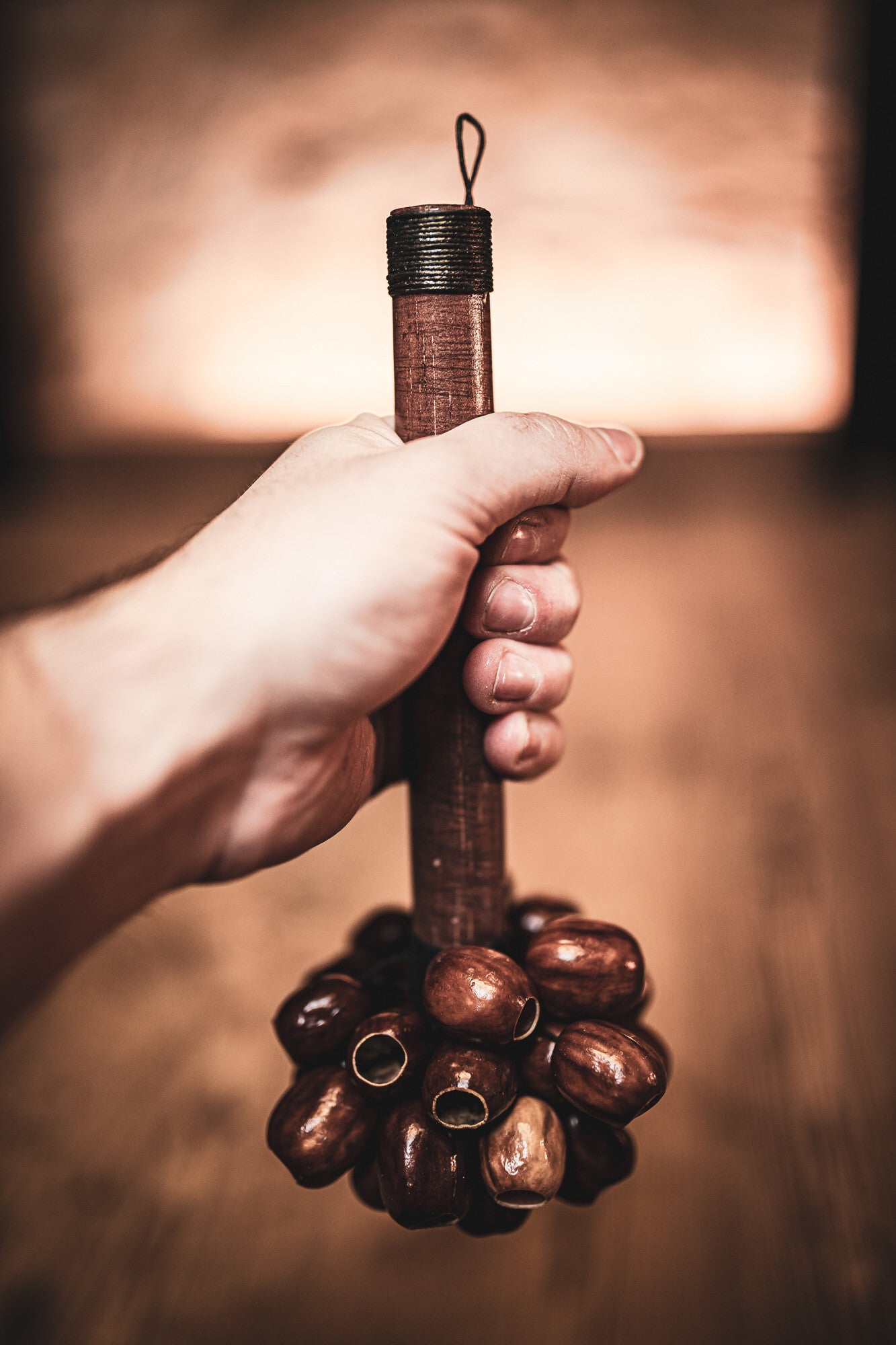 Meinl SPH Sonic Energy Pala Rod Shaker