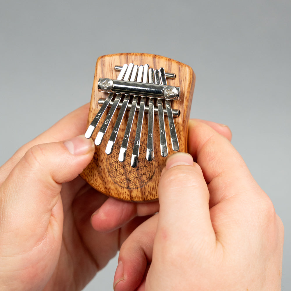 Meinl Sonic Energy KL802FOL 8-Note Mini Kalimba, Flower of Light, Red Zebrawood