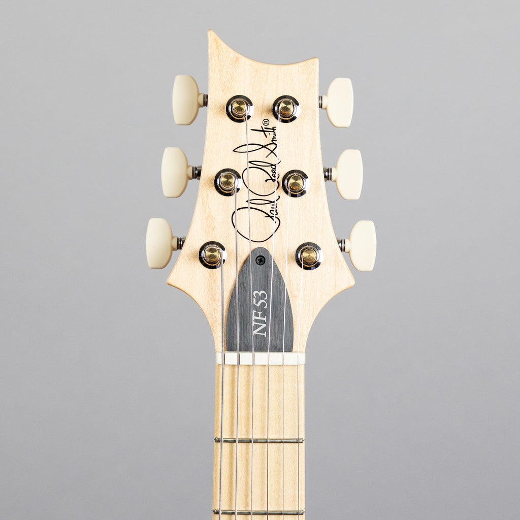 Paul Reed Smith NF 53 in White Doghair