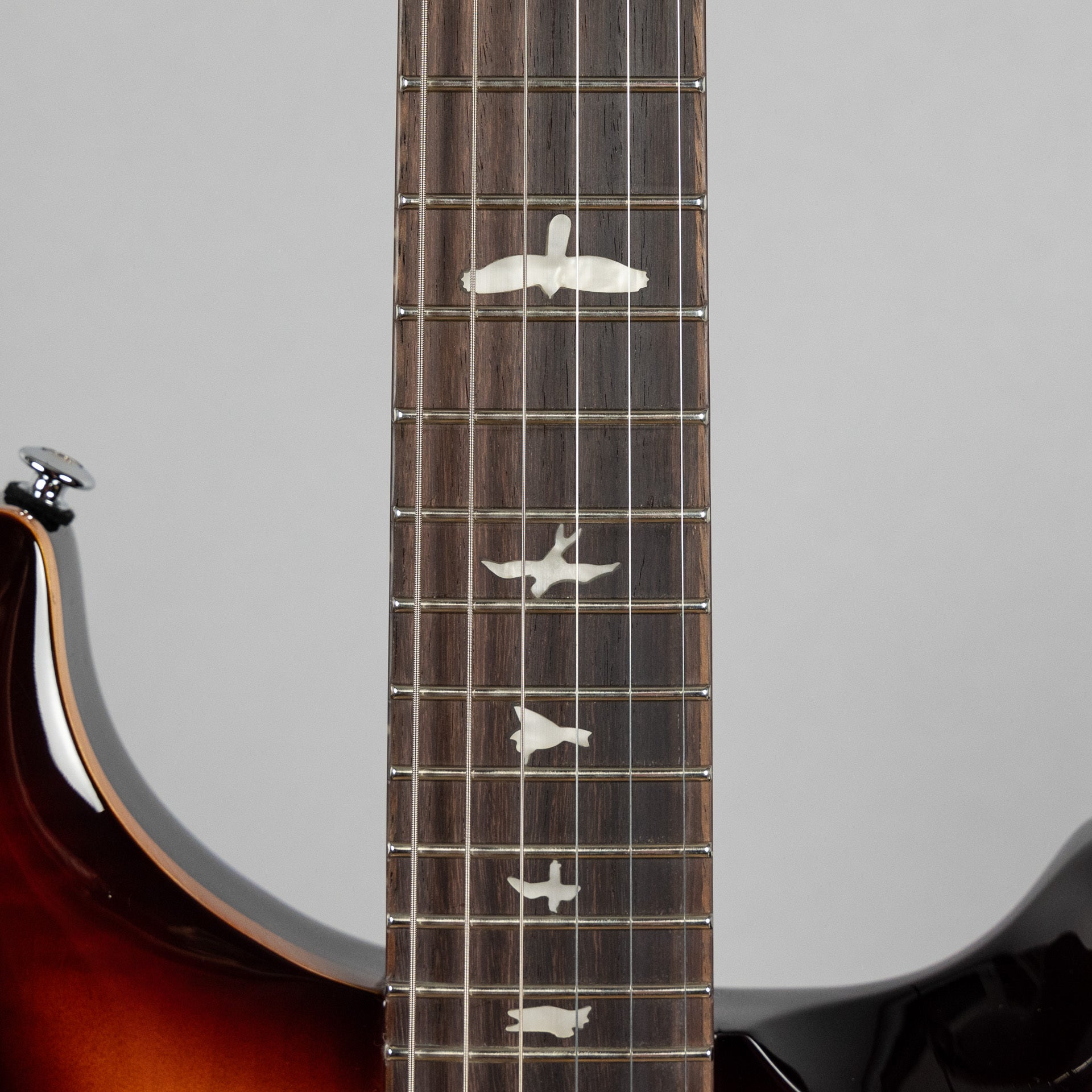 Paul Reed Smith SE DGT (Birds Inlay), McCarty Tobacco Sunburst (Demo)