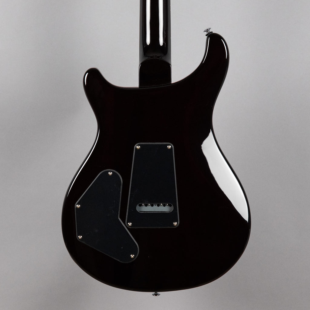 Paul Reed Smith SE DGT (Birds Inlay), McCarty Tobacco Sunburst (Demo)
