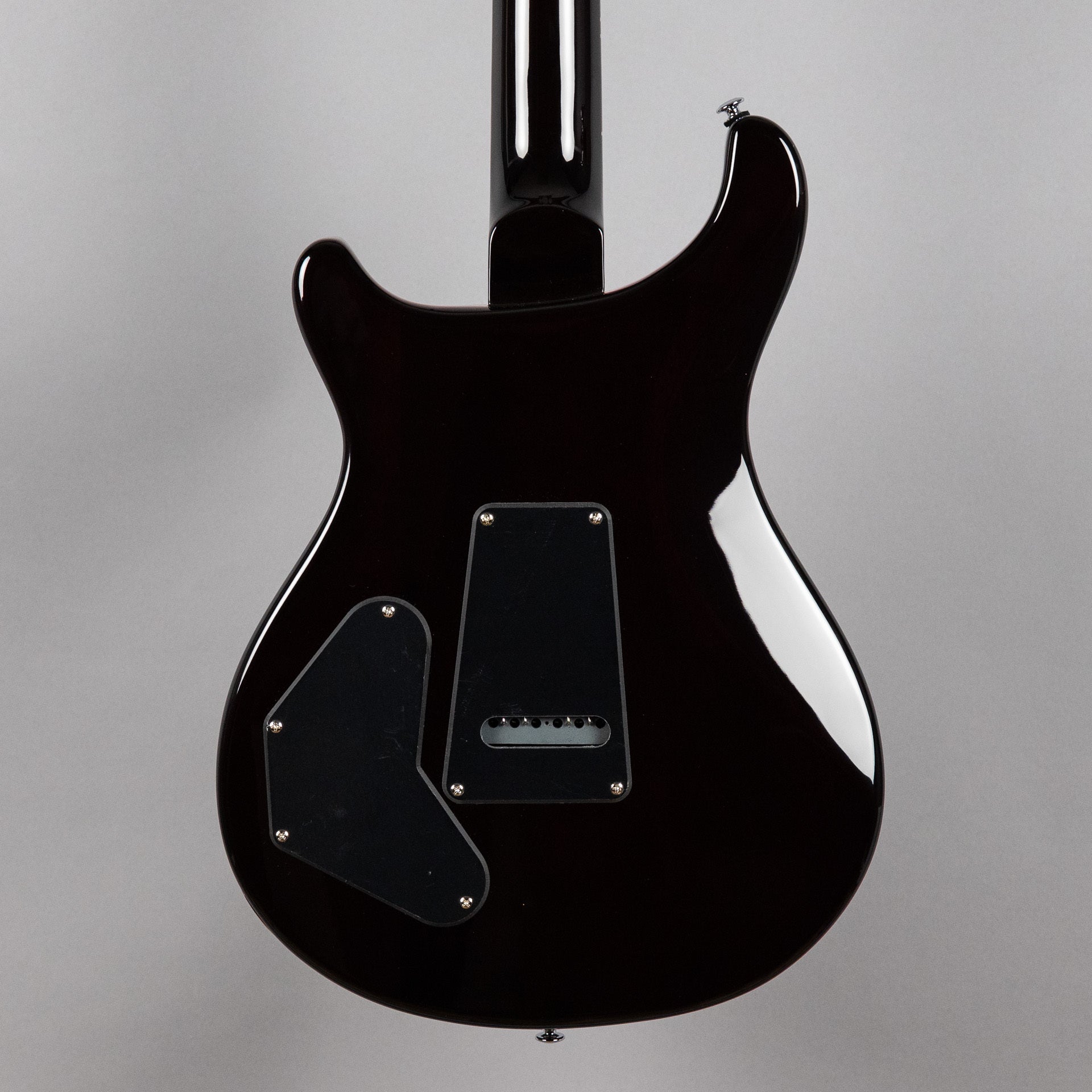 Paul Reed Smith SE DGT (Birds Inlay), McCarty Tobacco Sunburst (Demo)