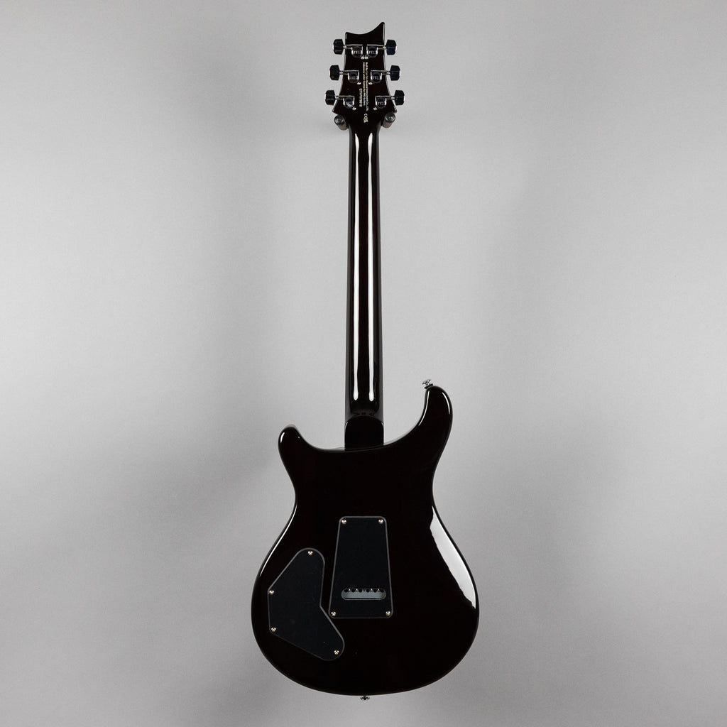 Paul Reed Smith SE DGT (Birds Inlay), McCarty Tobacco Sunburst (Demo)