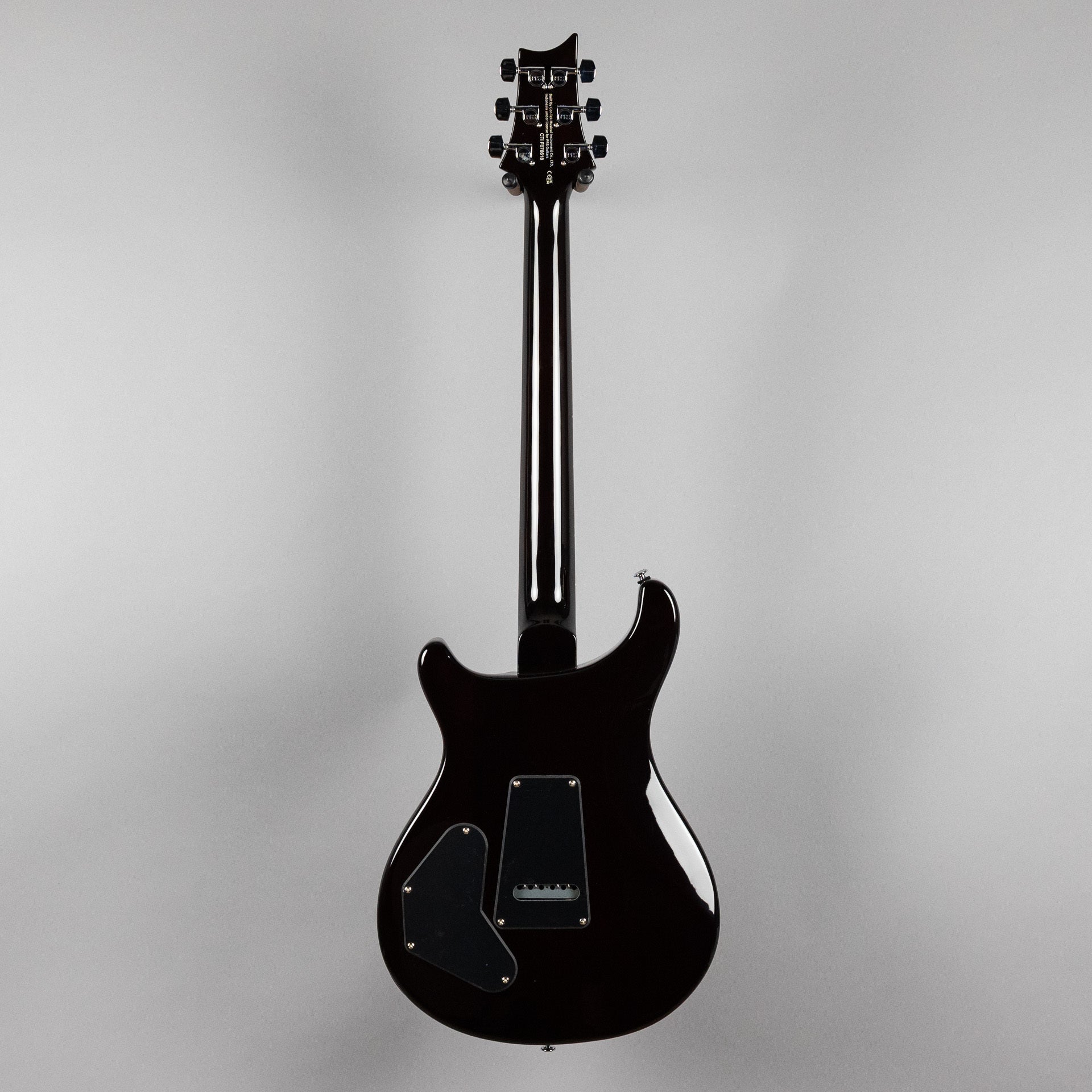 Paul Reed Smith SE DGT (Birds Inlay), McCarty Tobacco Sunburst (Demo)