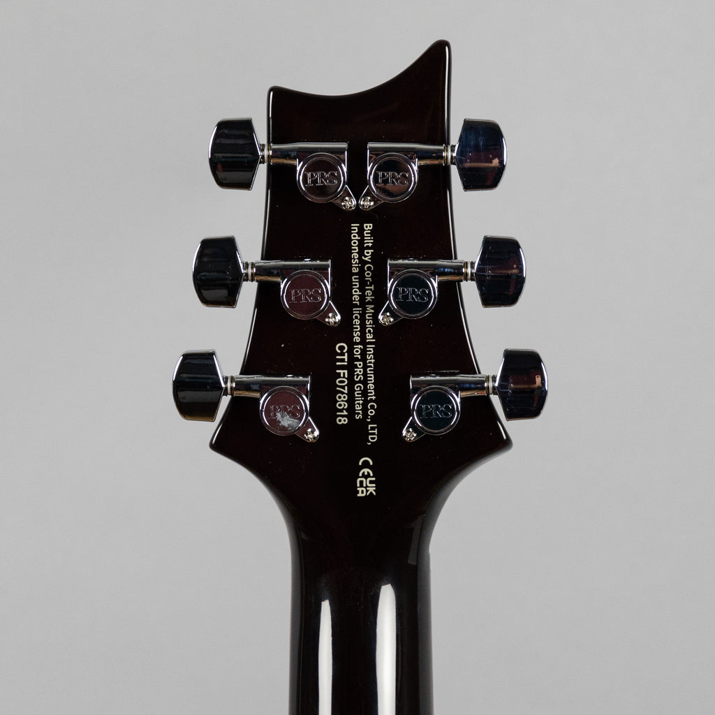 Paul Reed Smith SE DGT (Birds Inlay), McCarty Tobacco Sunburst (Demo)