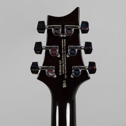 Paul Reed Smith SE DGT (Birds Inlay), McCarty Tobacco Sunburst