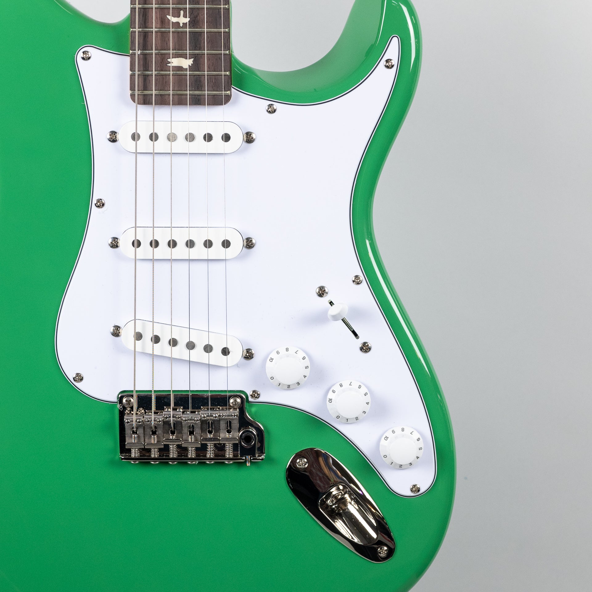 Paul Reed Smith SE Silver Sky in Ever Green – Carlton Music Center