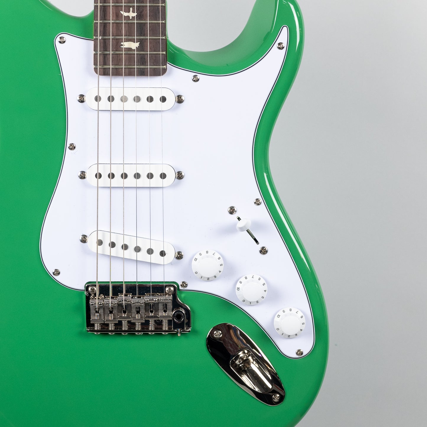 Paul Reed Smith SE Silver Sky in Ever Green