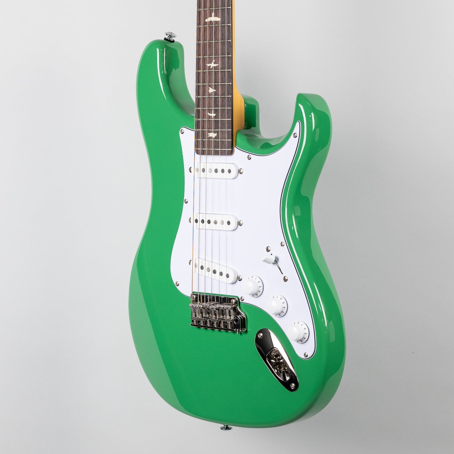 Paul Reed Smith SE Silver Sky in Ever Green
