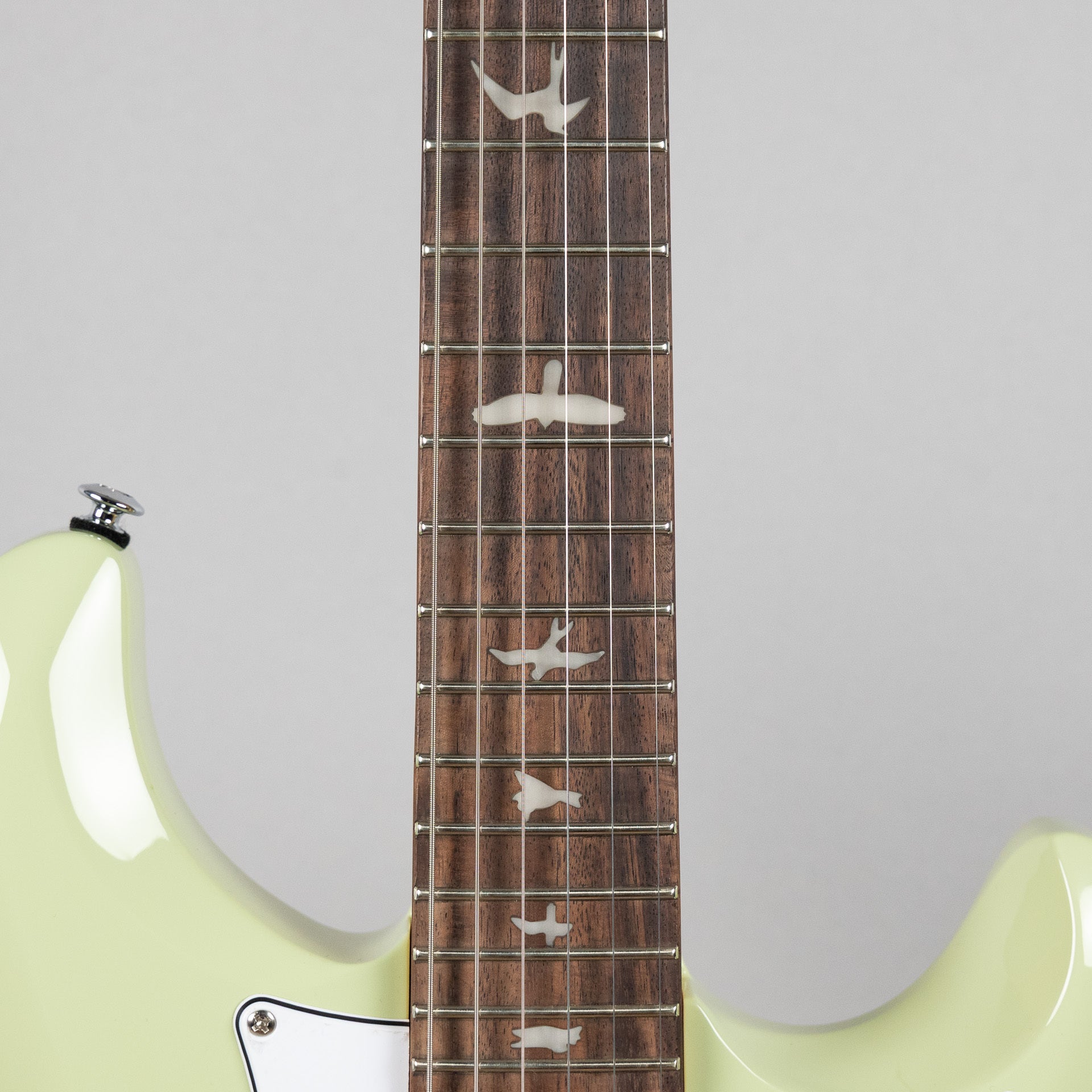 Paul Reed Smith SE Studio Standard, Rosewood, Sage Green