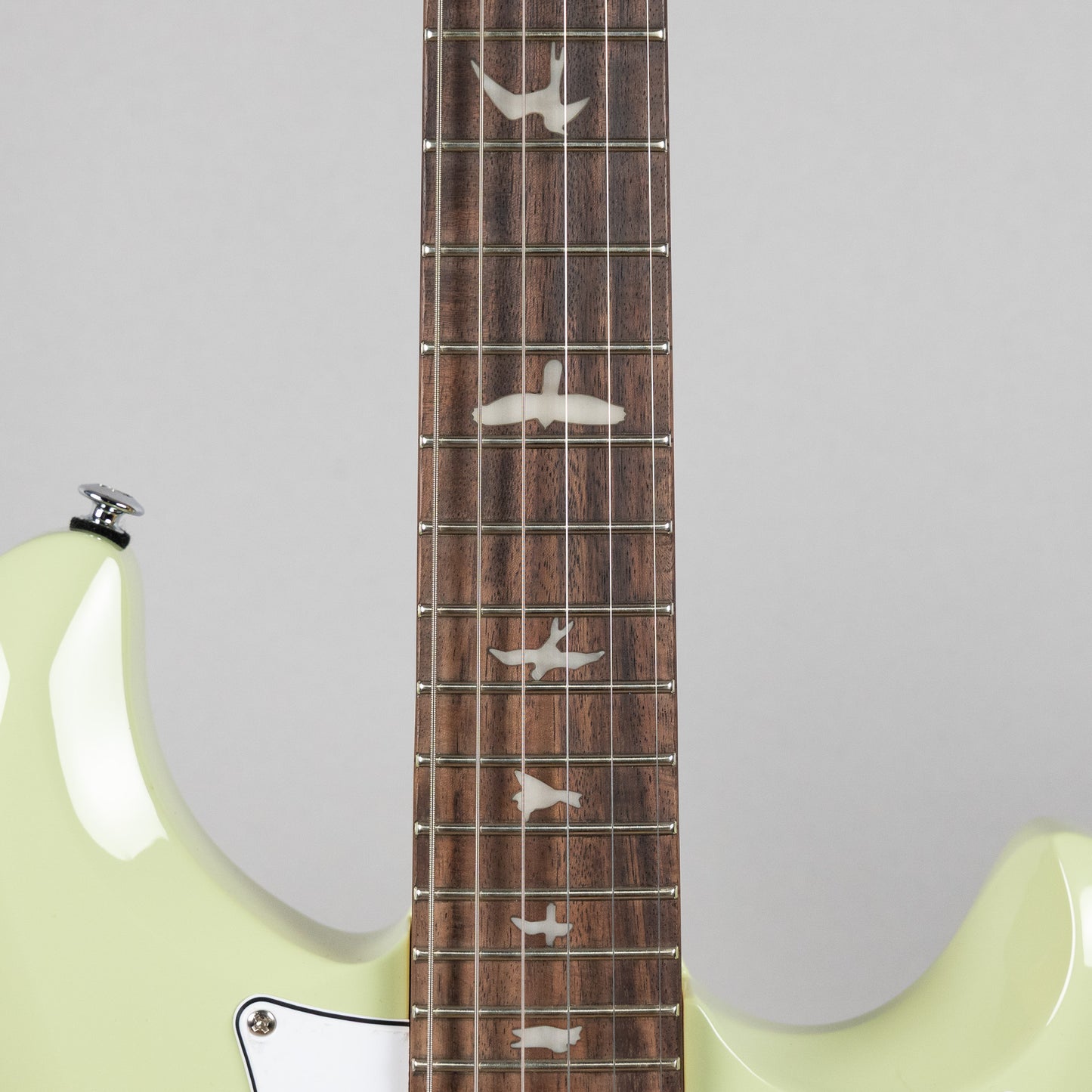 Paul Reed Smith SE Studio Standard, Rosewood, Sage Green