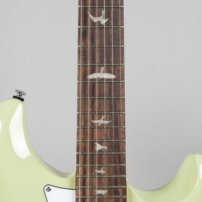 Paul Reed Smith SE Studio Standard, Rosewood, Sage Green