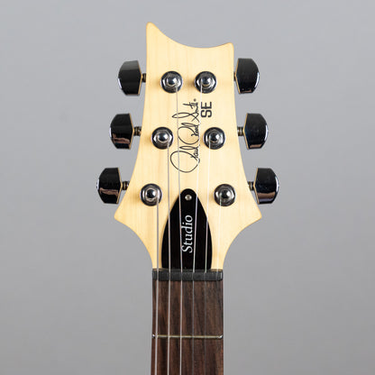 Paul Reed Smith SE Studio Standard, Rosewood, Sage Green