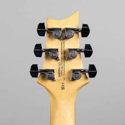 Paul Reed Smith SE Studio Standard, Rosewood, Sage Green