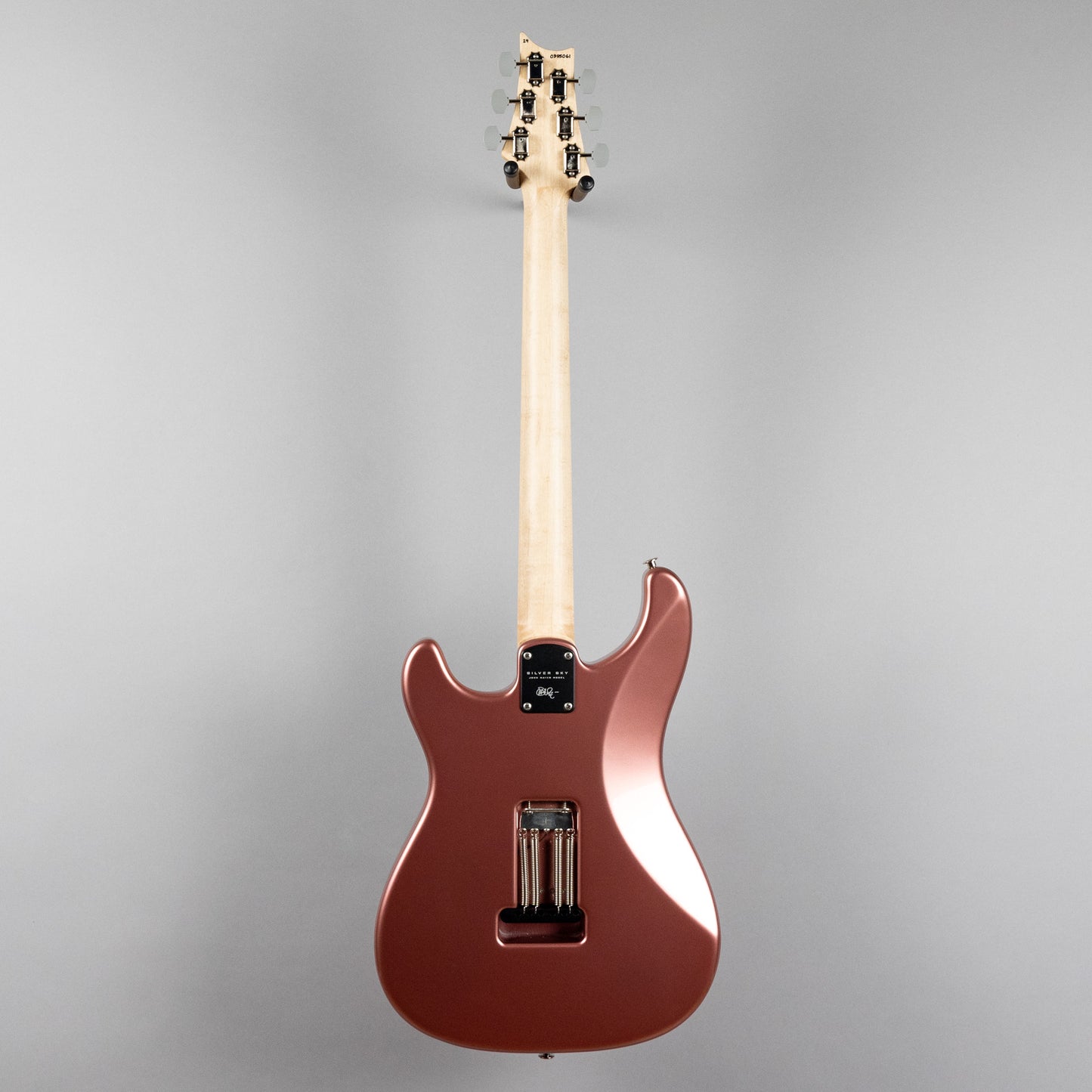 Paul Reed Smith Silver Sky, Maple Fingerboard, Midnight Rose