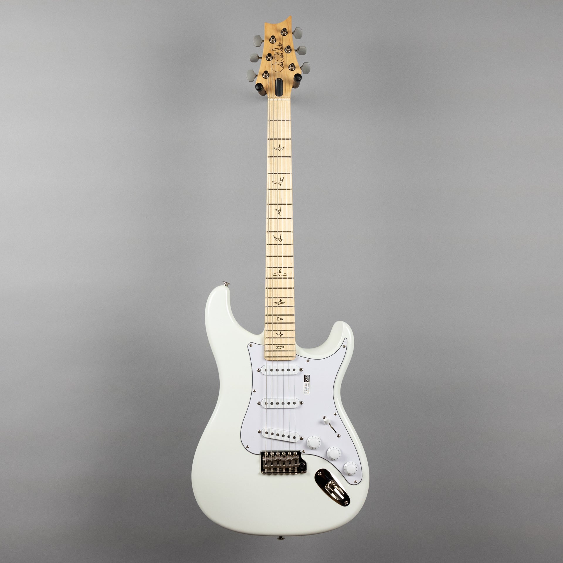 Paul Reed Smith Silver Sky Maple in Frost – Carlton Music Center