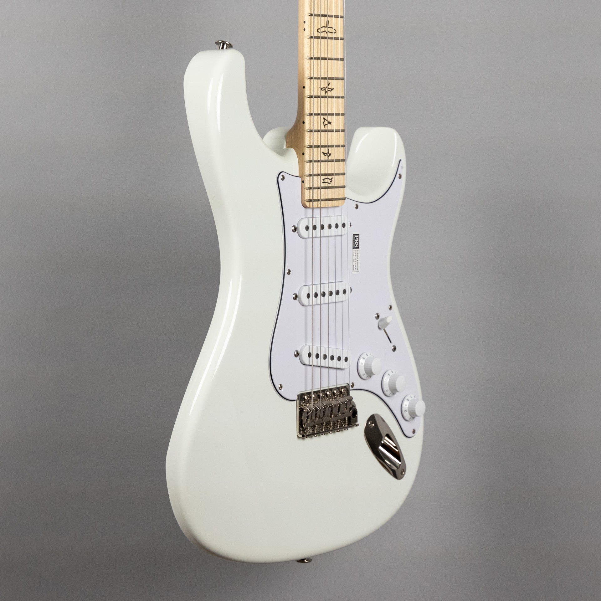 Paul Reed Smith Silver Sky Maple in Frost