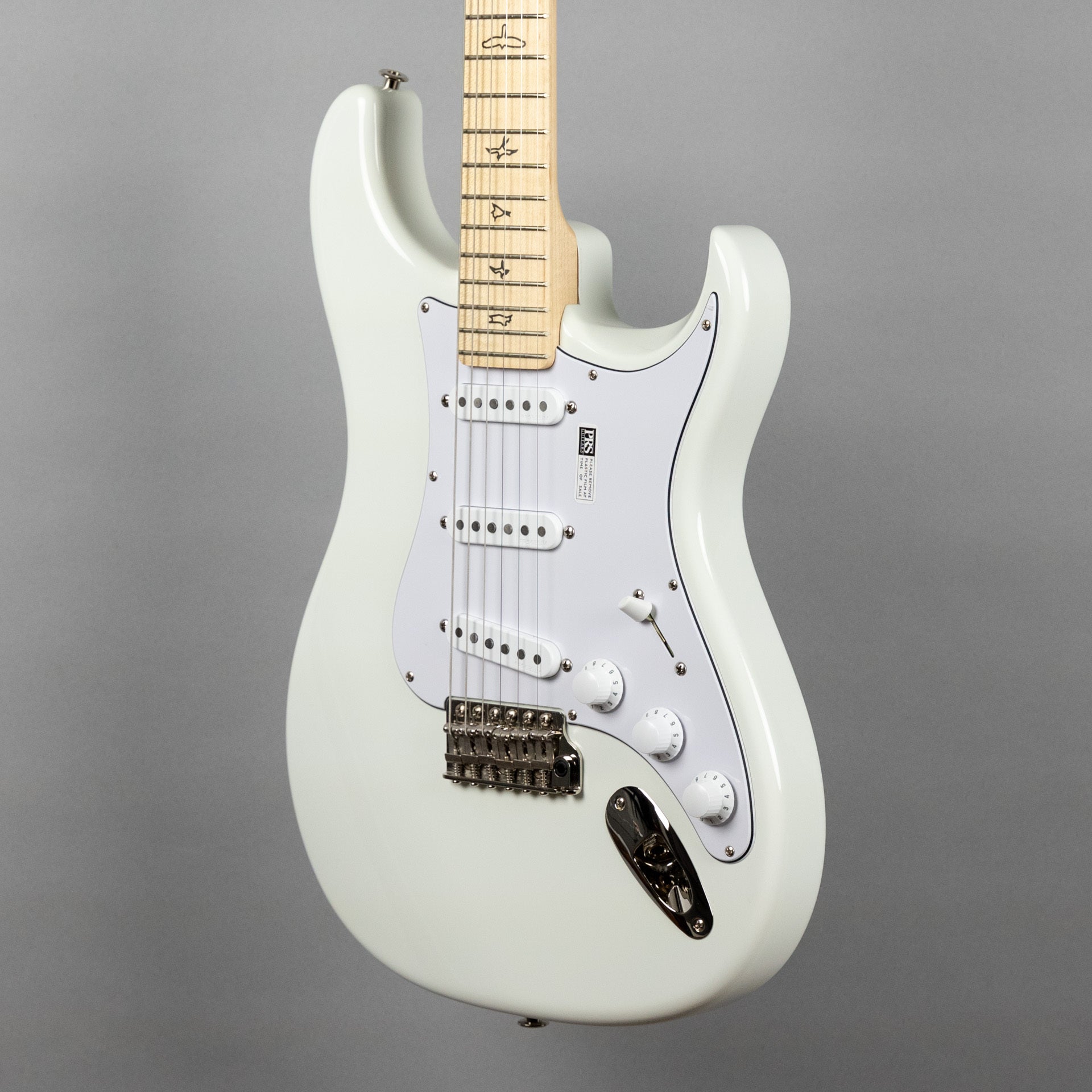 Paul Reed Smith Silver Sky Maple in Frost