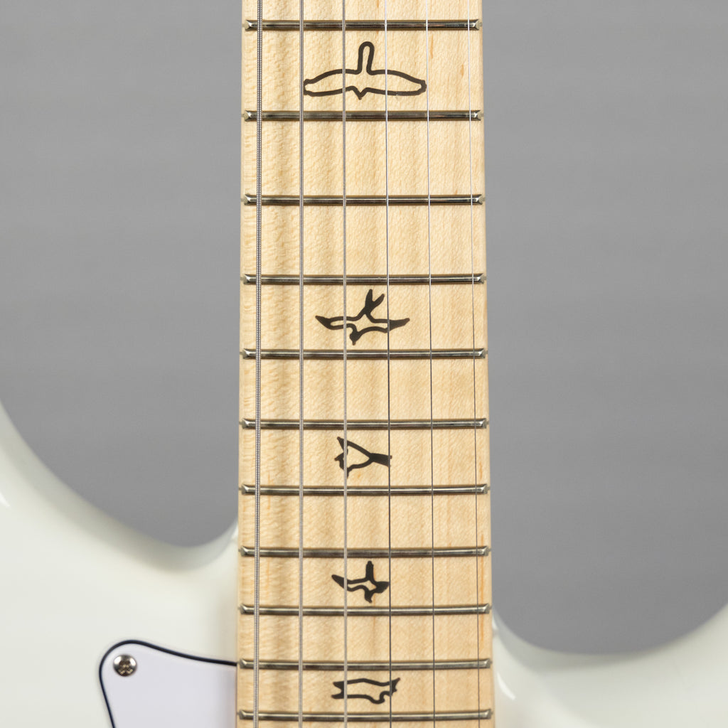 Paul Reed Smith Silver Sky Maple in Frost