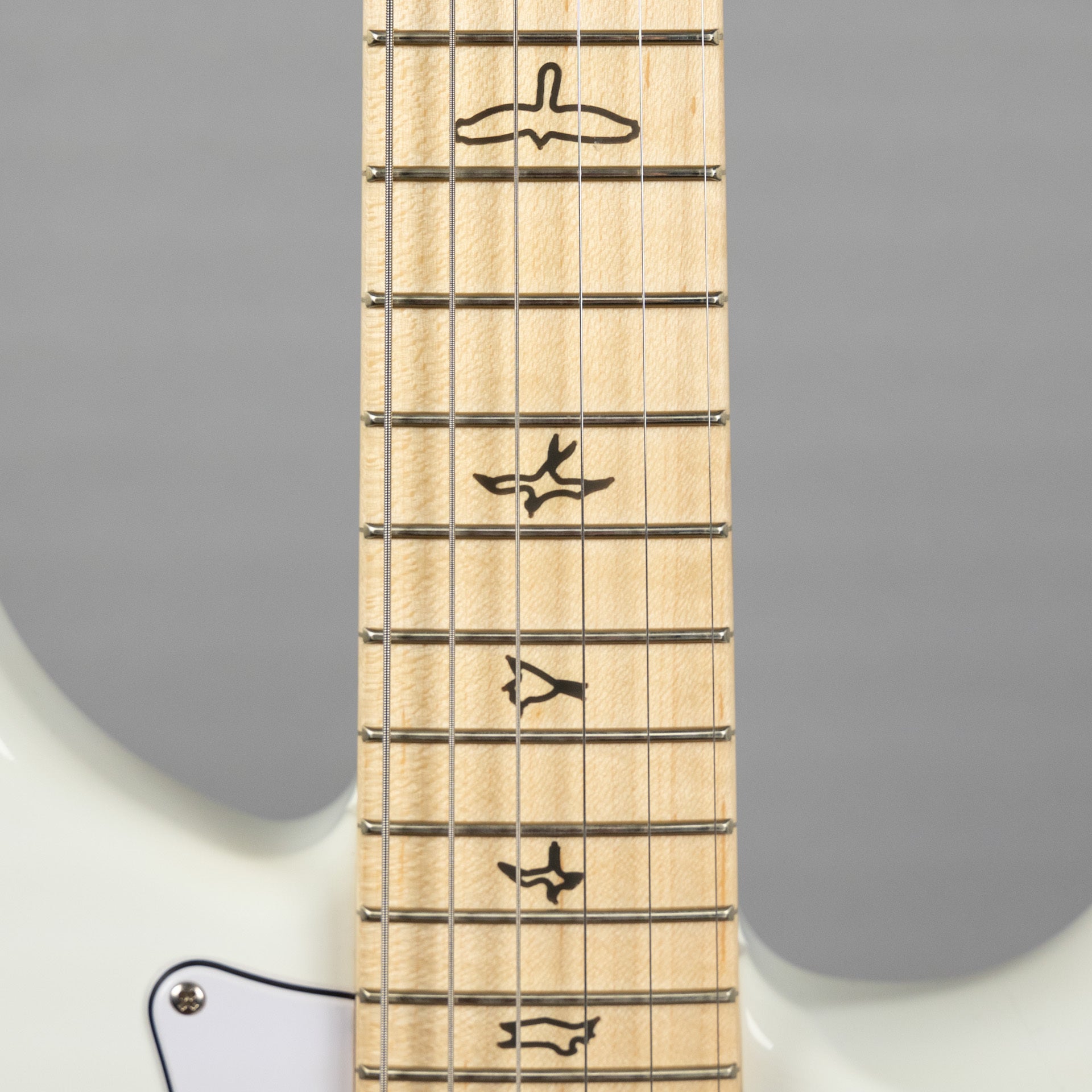 Paul Reed Smith Silver Sky Maple in Frost