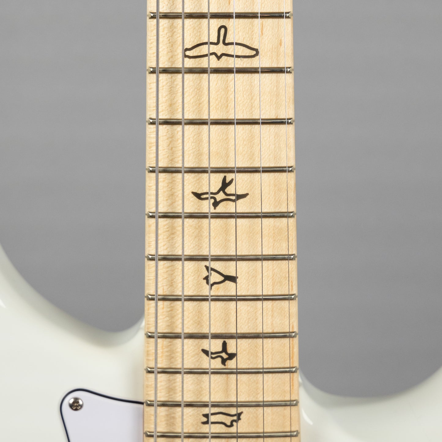 Paul Reed Smith Silver Sky Maple in Frost