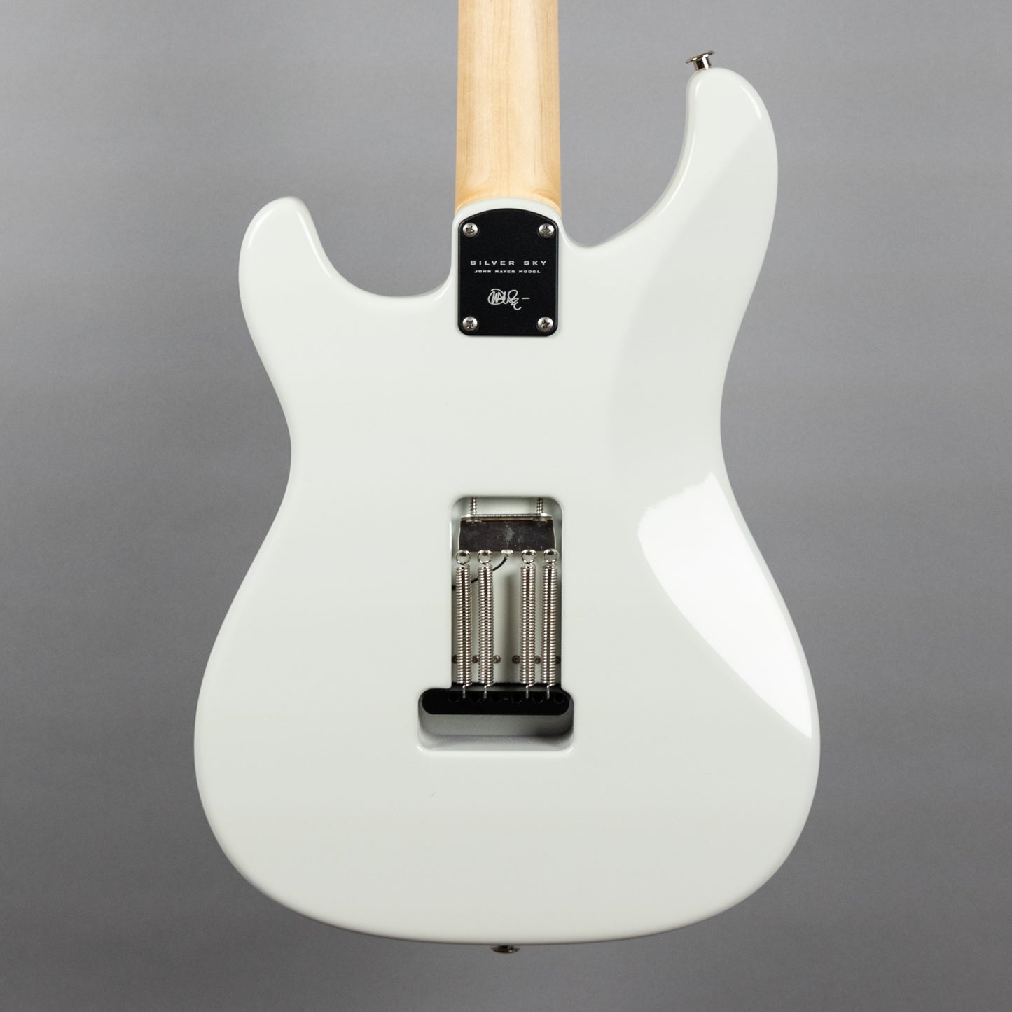Paul Reed Smith Silver Sky Maple in Frost