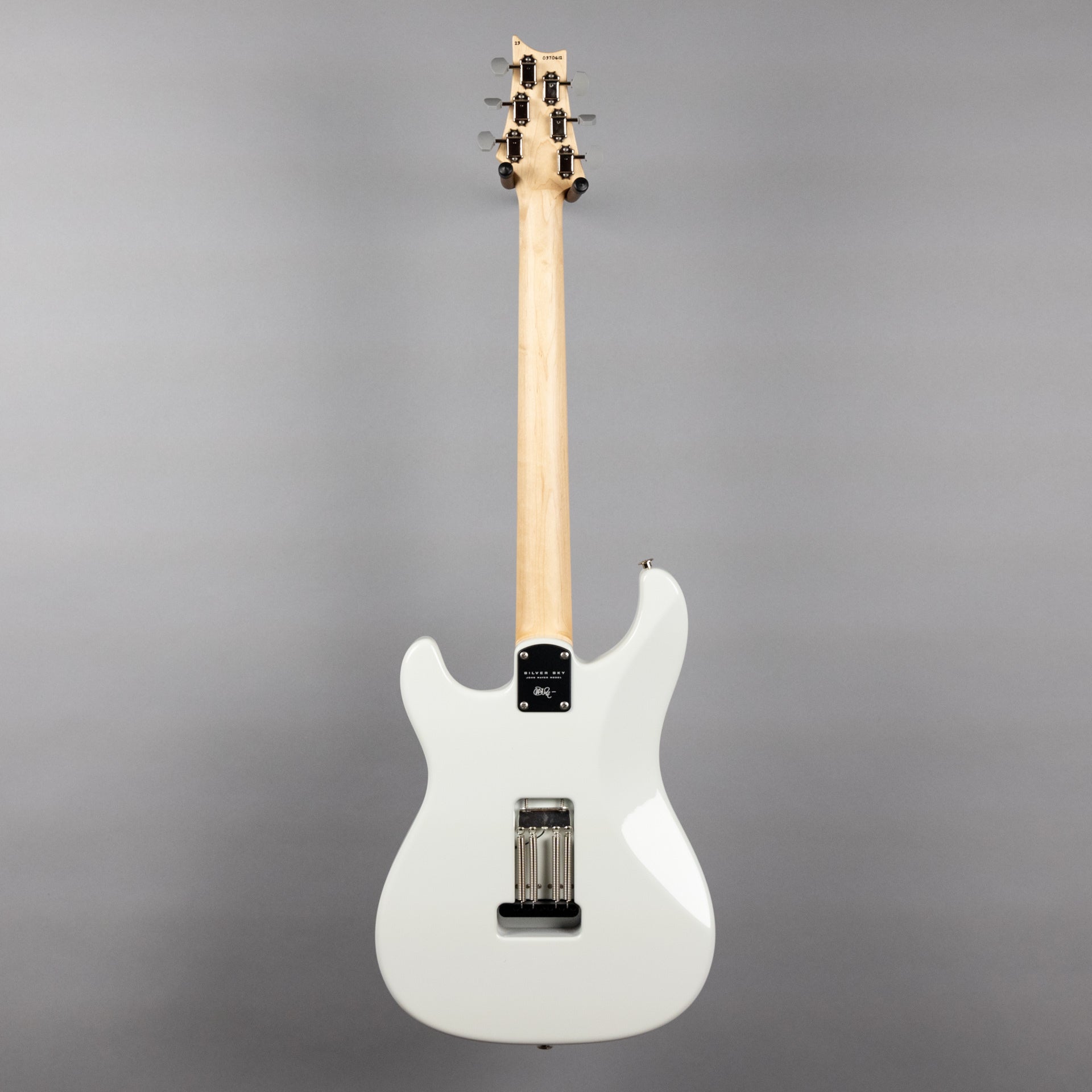 Paul Reed Smith Silver Sky Maple in Frost