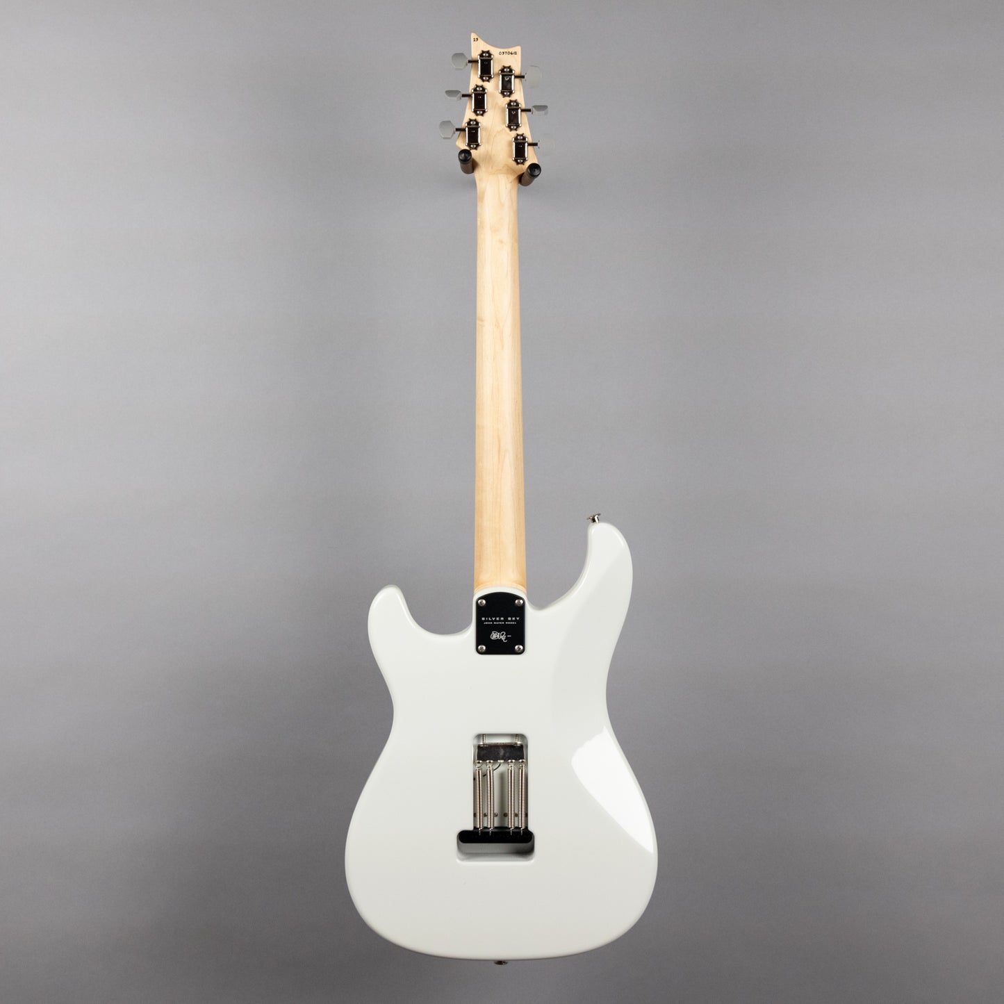 Paul Reed Smith Silver Sky Maple in Frost