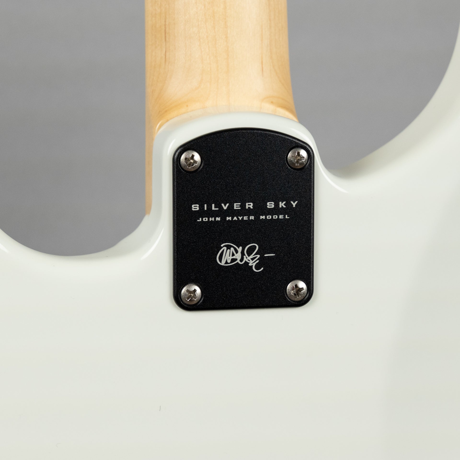 Paul Reed Smith Silver Sky Maple in Frost