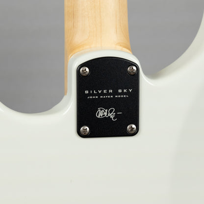 Paul Reed Smith Silver Sky Maple in Frost